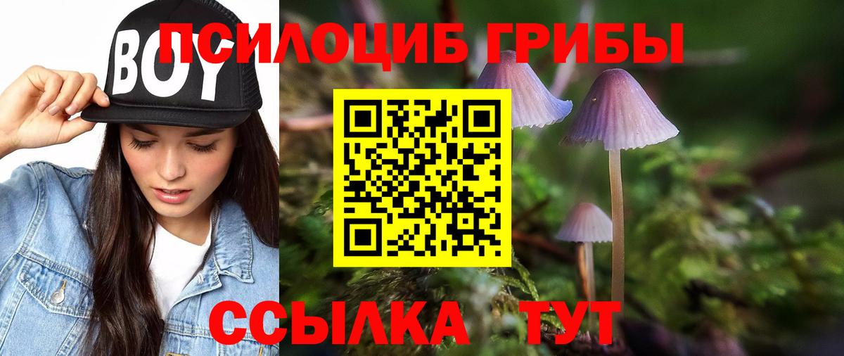 Галлюциногенные грибы мухоморы Кызыл