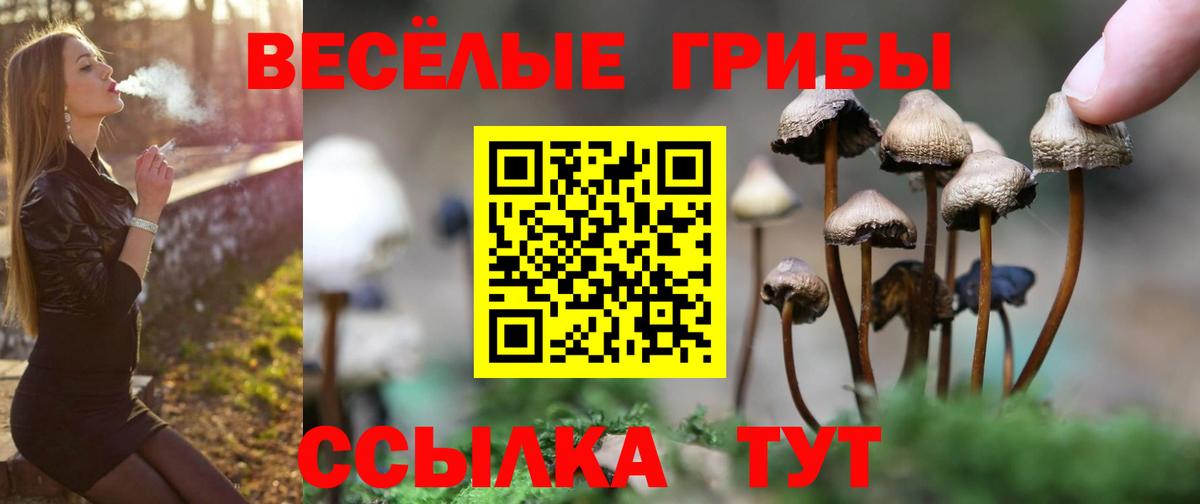 Псилоцибиновые грибы мухоморы  Вход с VPN  Галлюциногенные грибы Psilocybine cubensis  Кызыл 